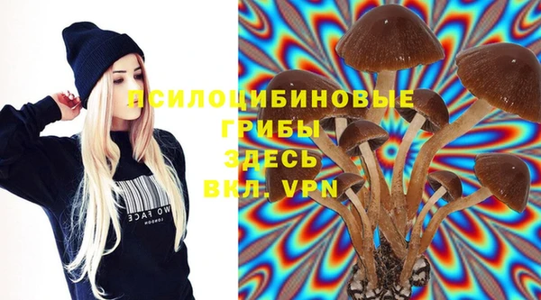 гашиш Карпинск