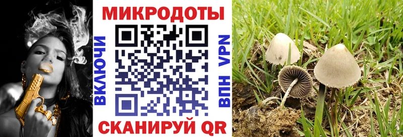 Псилоцибиновые грибы Psilocybe мега маркетплейс Шатура