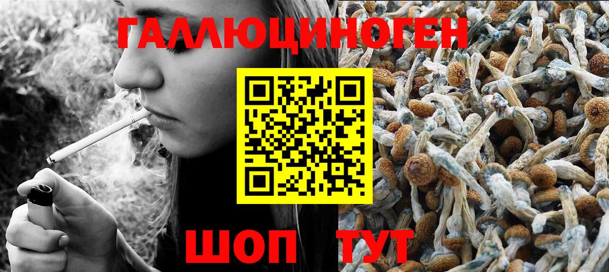 Шатура  Галлюциногенные грибы Magic Shrooms  Вход с VPN 