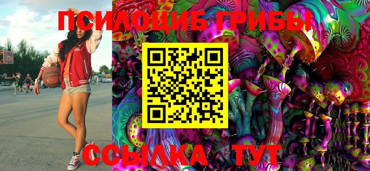 Псилоцибиновые грибы Psilocybine cubensis  купить   Галлюциногенные грибы GOLDEN TEACHER  Шатура 